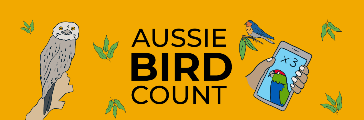 Aussie Bird Count at Keon Park Children's Hub