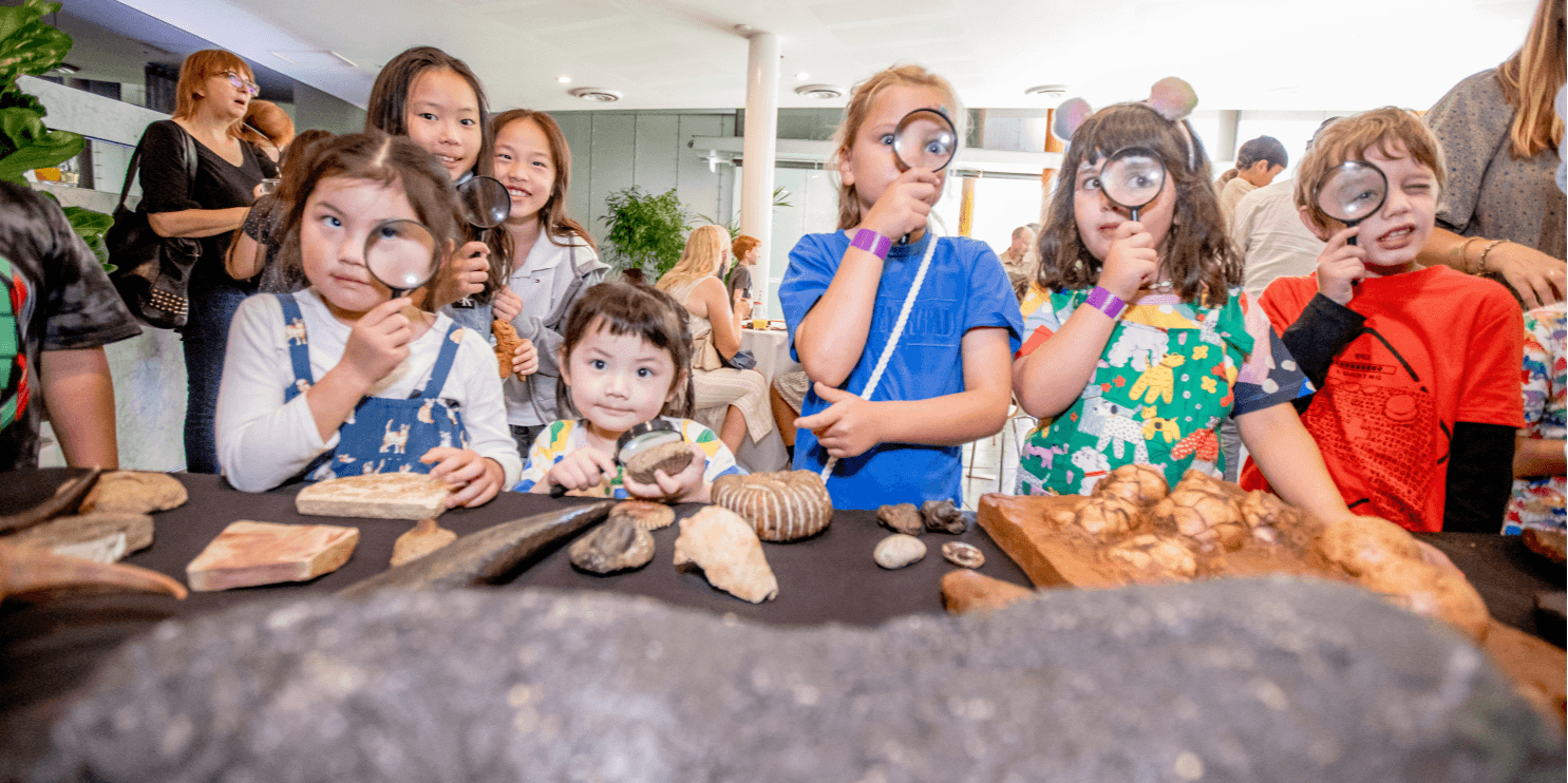 Pop-up Museum Dinosaurs and Fossils — Wollert