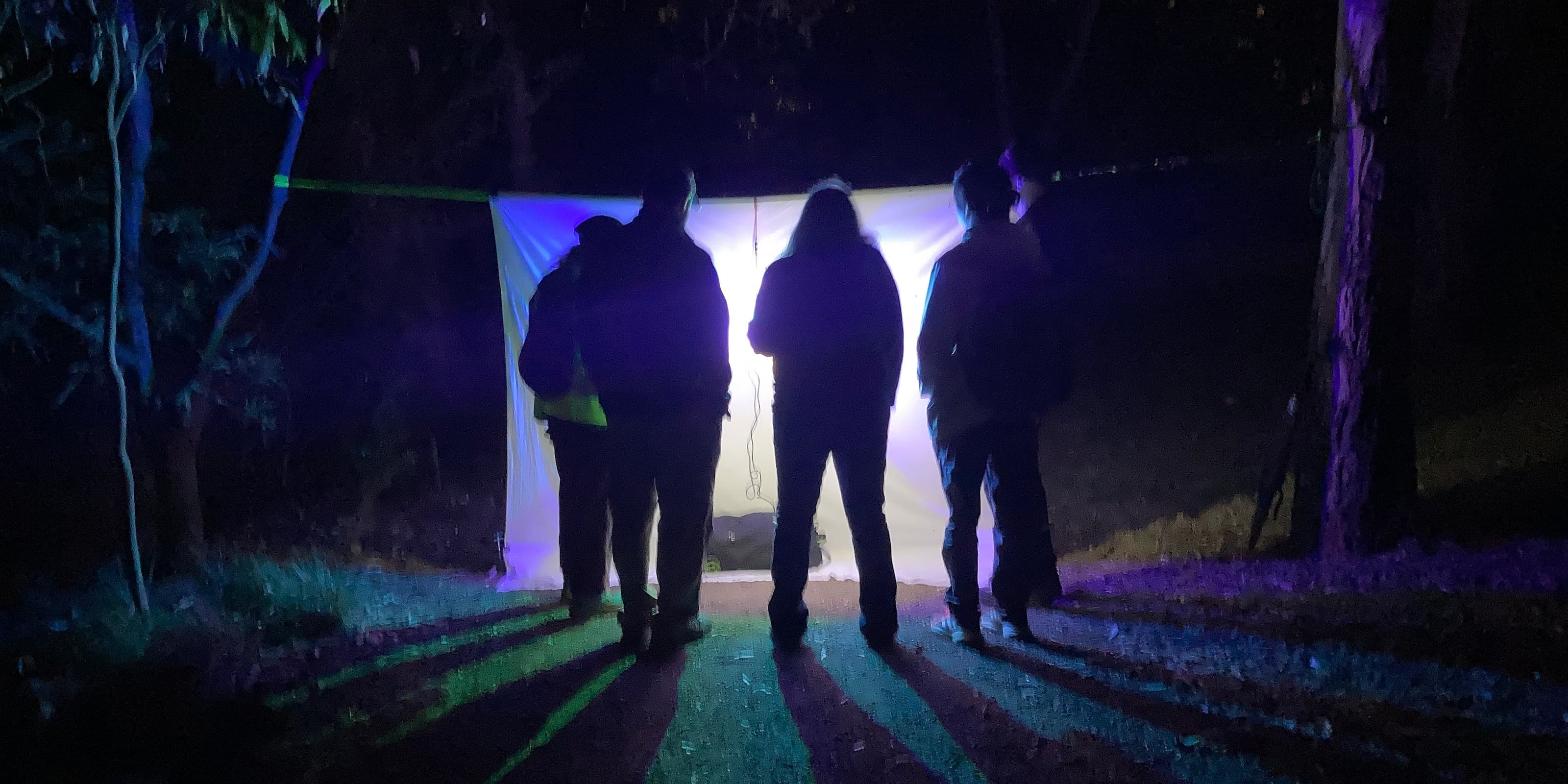 Insect Investigation at Maranoa Botanic Gardens After Dark (adults)