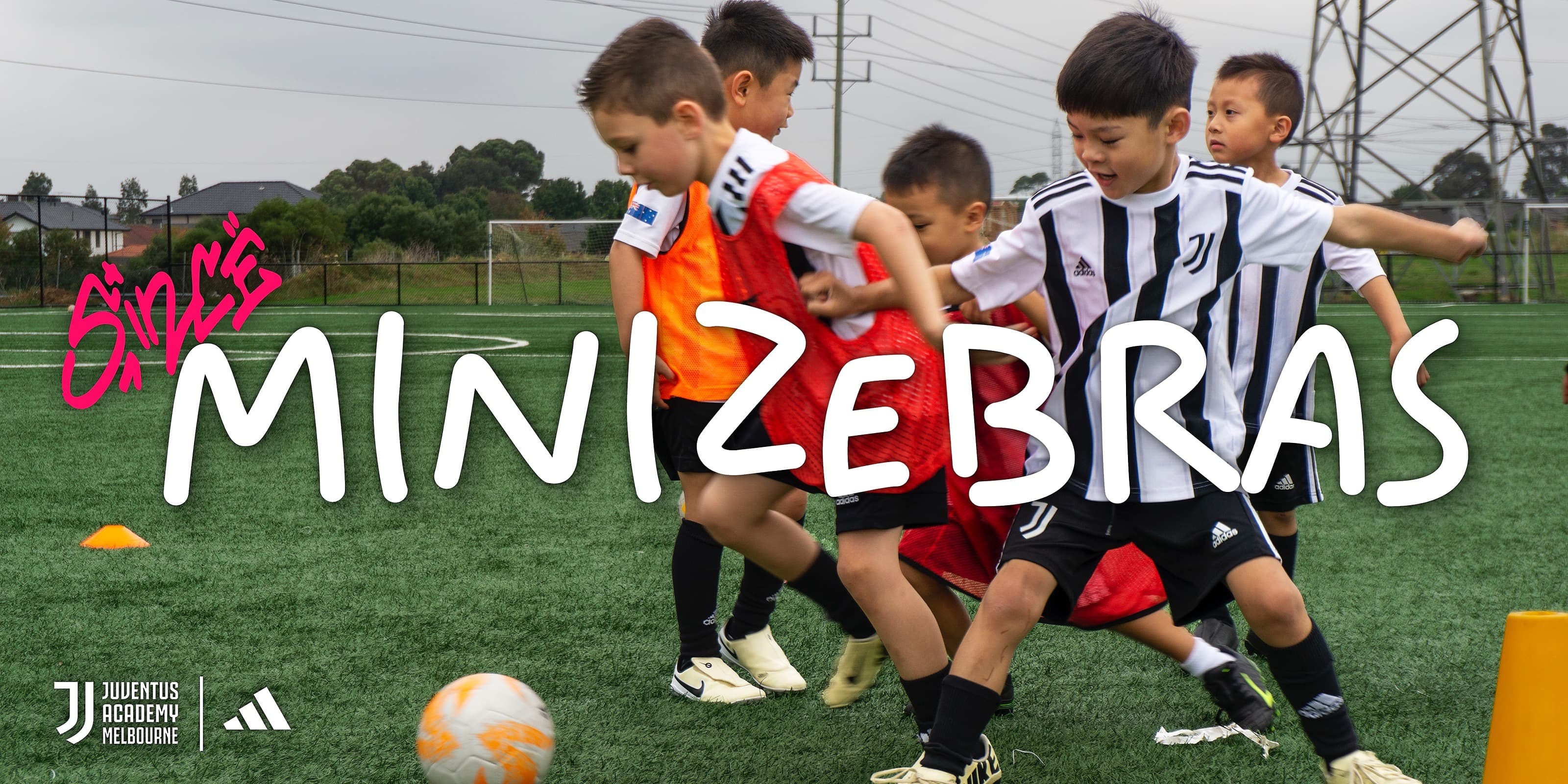 Mini Zebras - Club Italia - Term 2, 2026