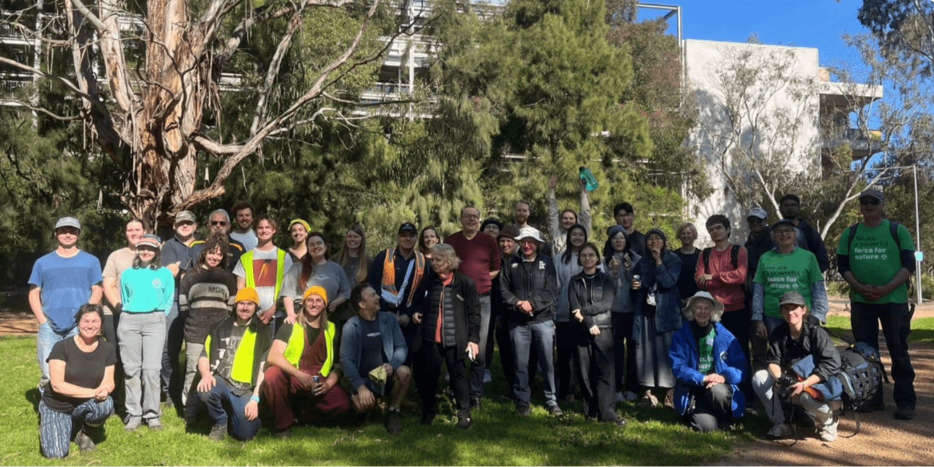 Gardiners Creek Reserve Biodiversity Project