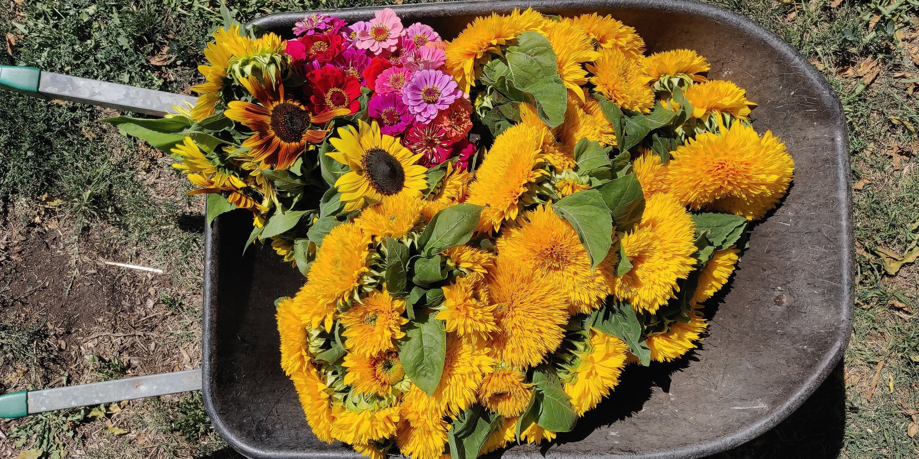 CERES Queer Weed Dating April 2026