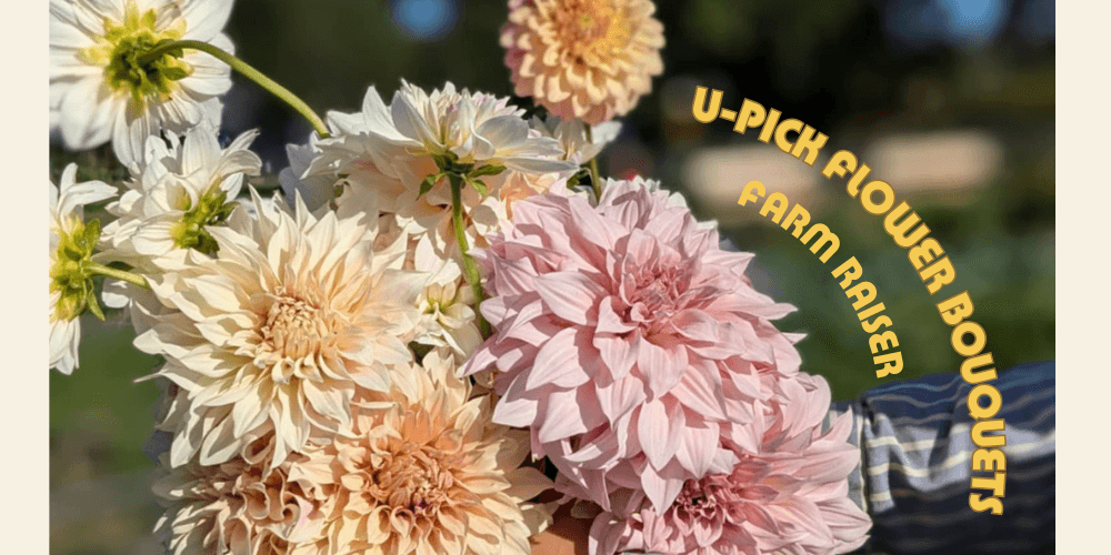 U-pick flower bouquet @ Farm Raiser