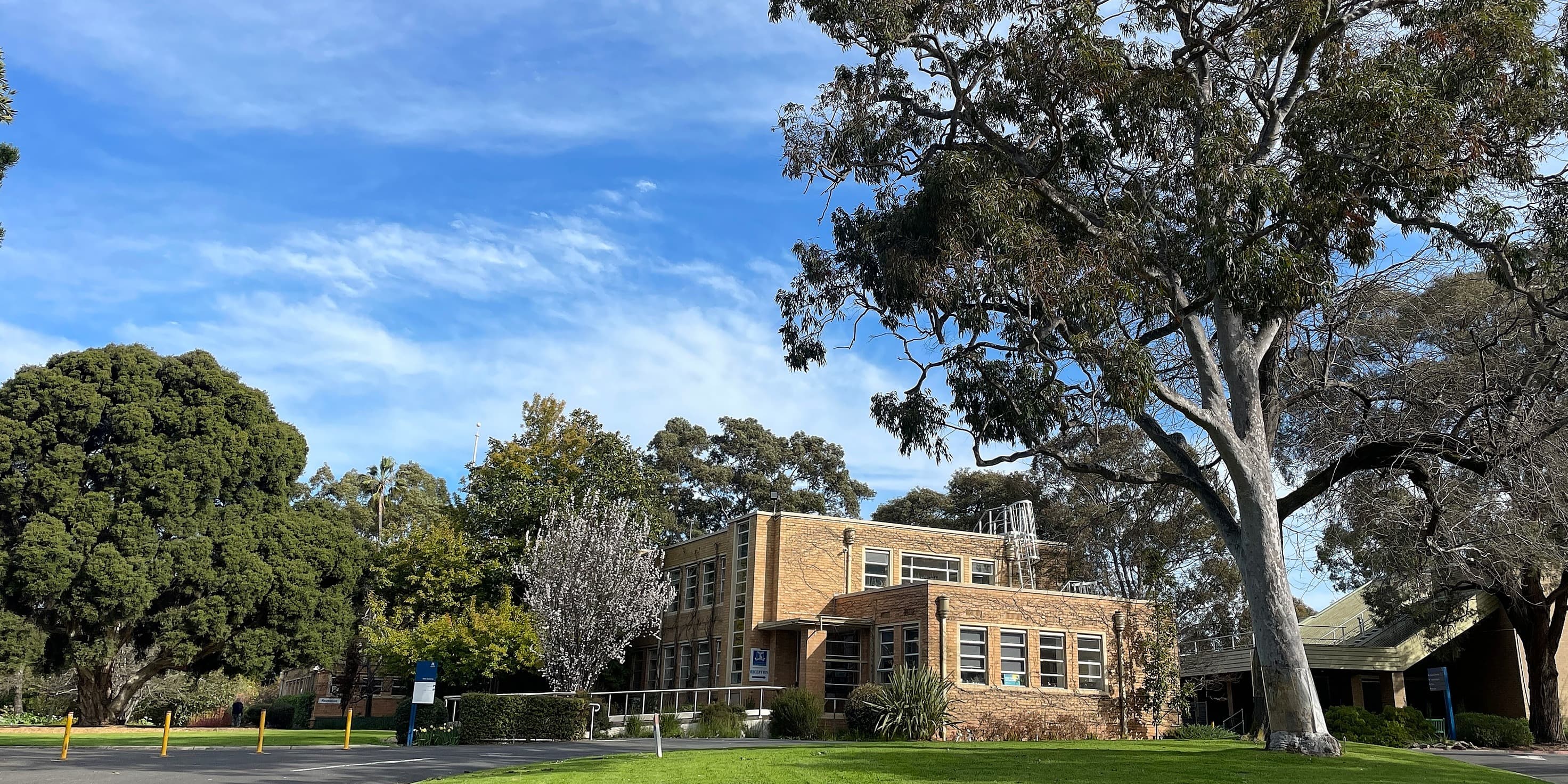 Urban Greening and Cooling