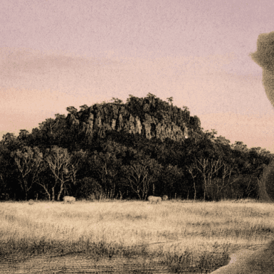 Picnic at Hanging Rock