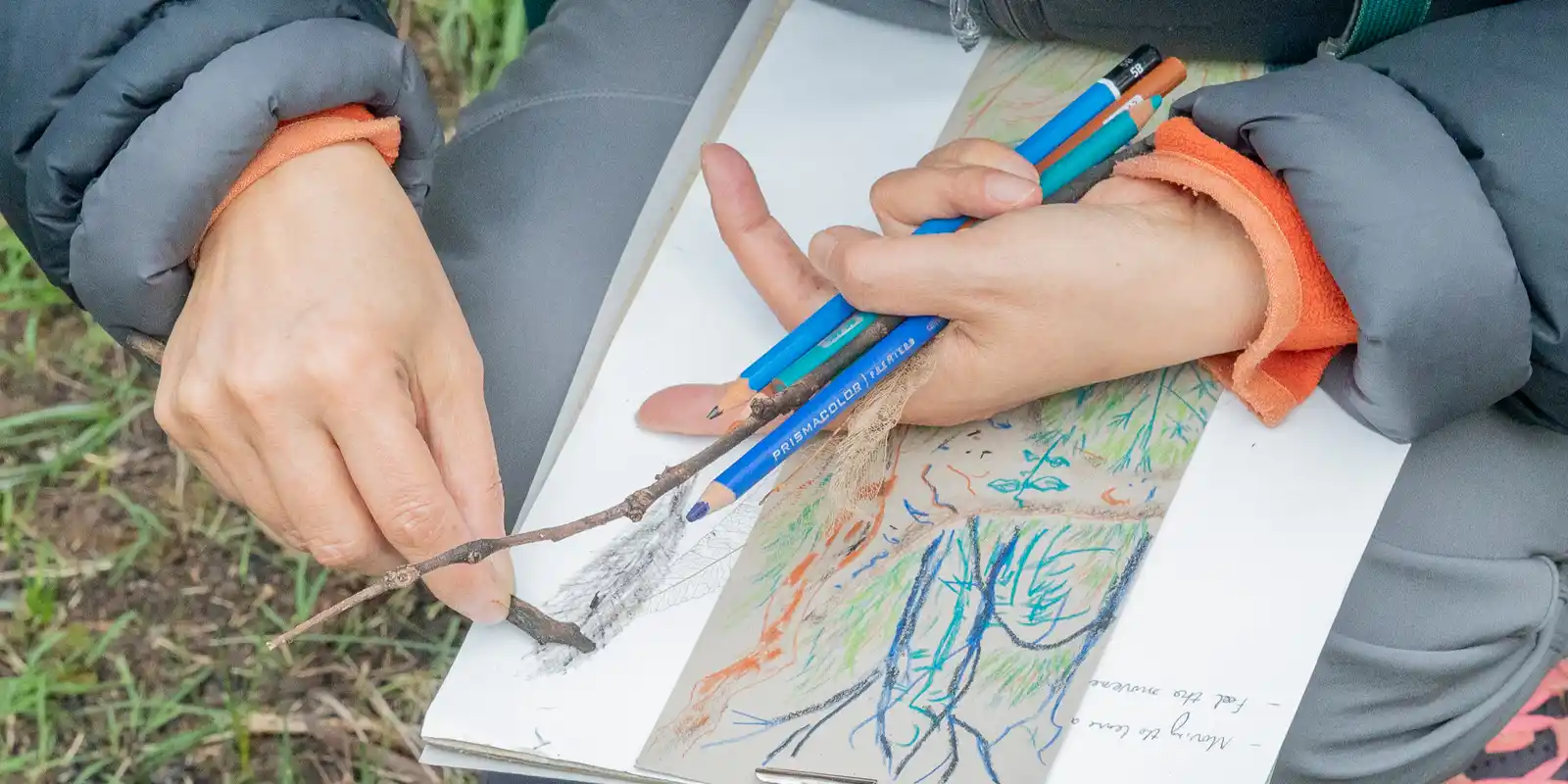 Field Sketches and Feathers: A Bird Walk and Drawing Workshop with
