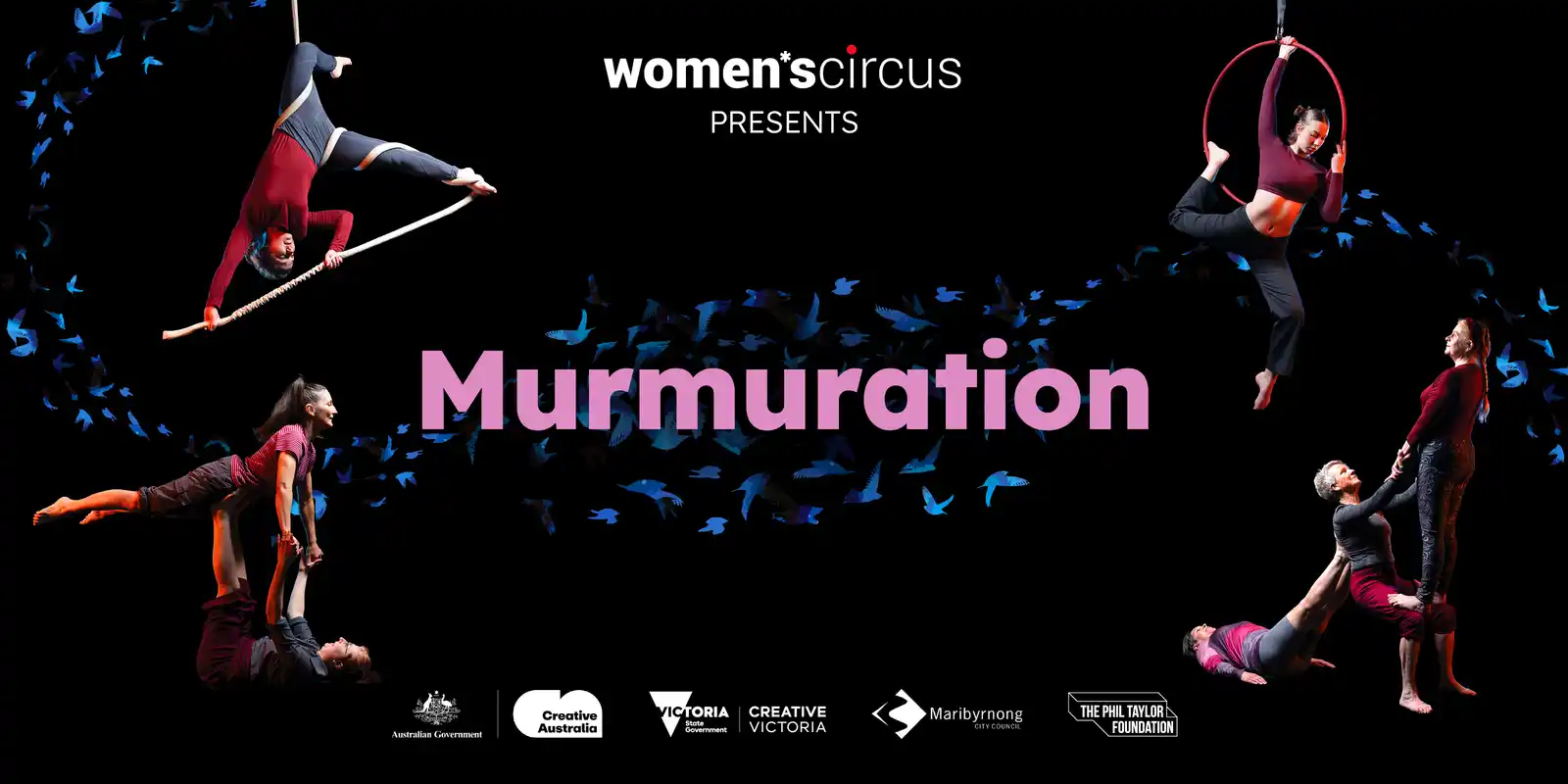 Murmuration - Preview Night