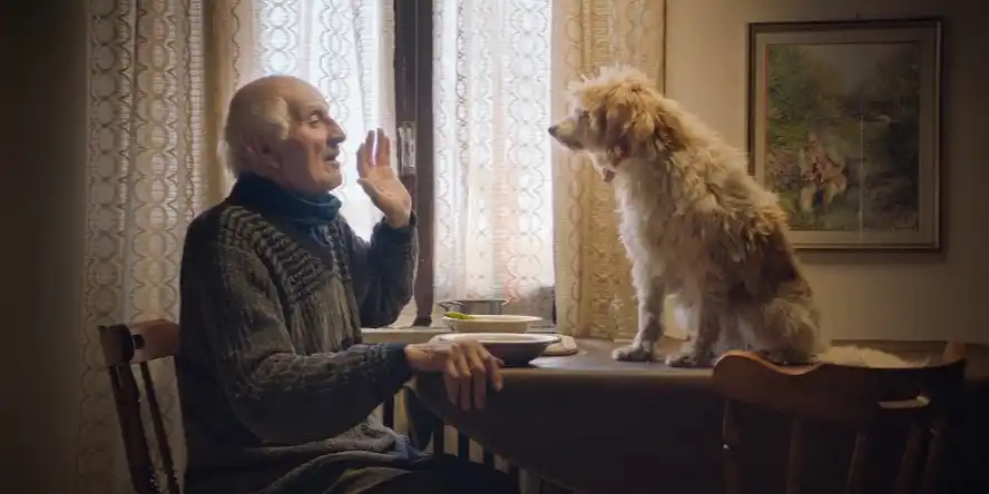 Boroondara Seniors Film Festival - The Truffle Hunters - Palace Balwyn