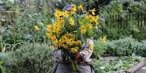 Mother's Day Heide Harvest Garden Tour