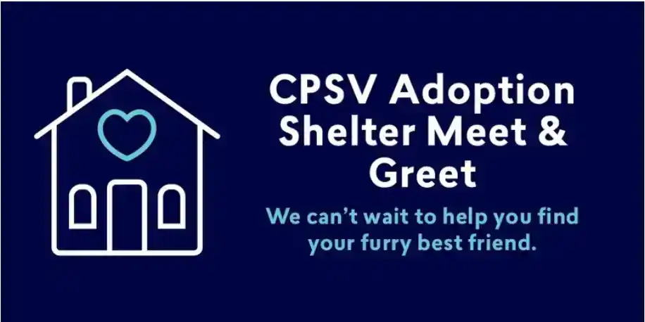 Adoption Shelter- Meet and Greet (290826-301126)