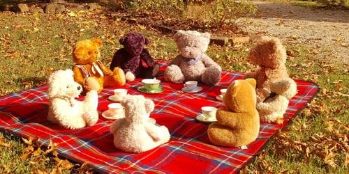 Old Cheese Factory - Teddy Bears Picnic 2026