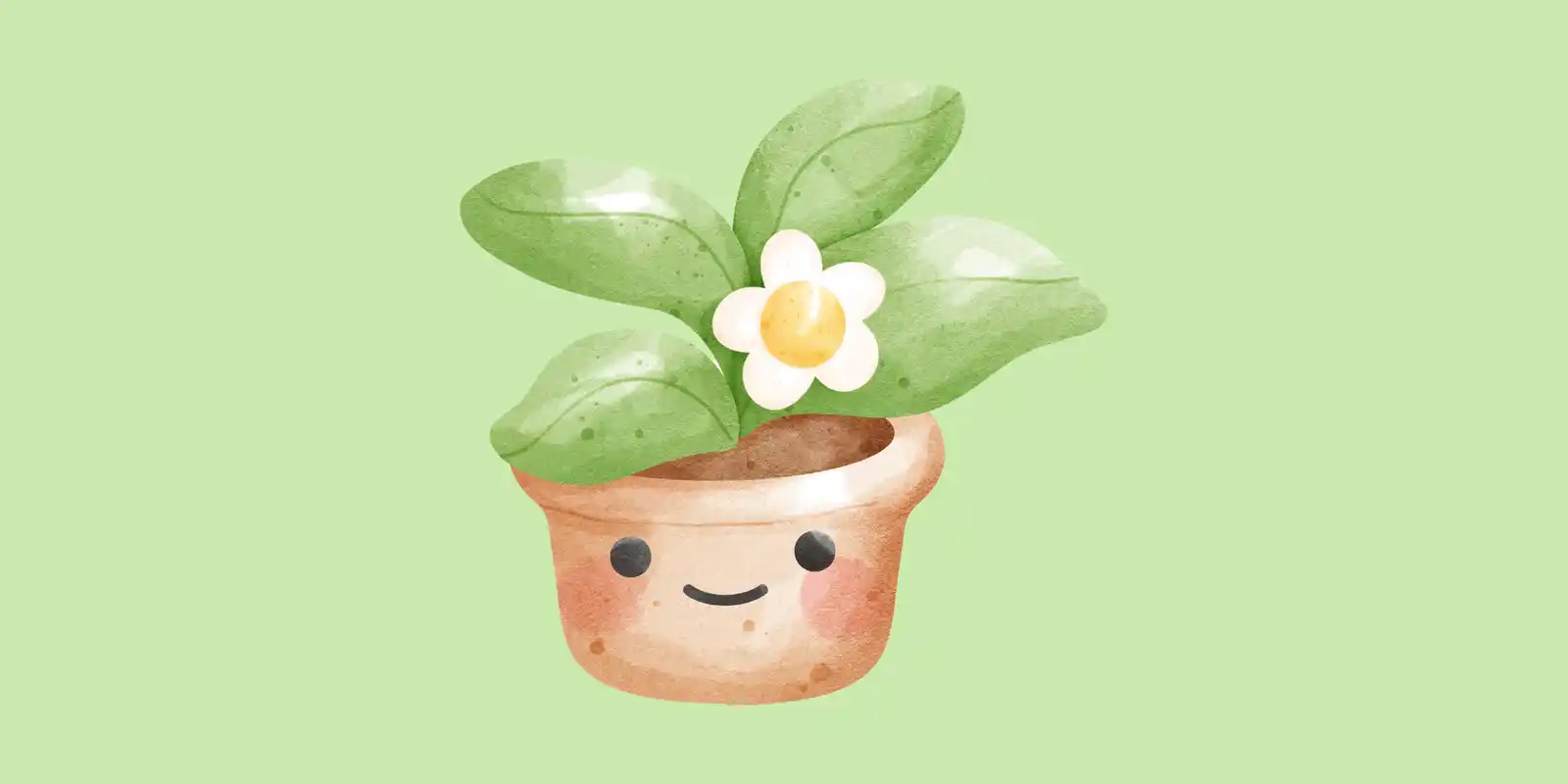 Pot Plants Workshop