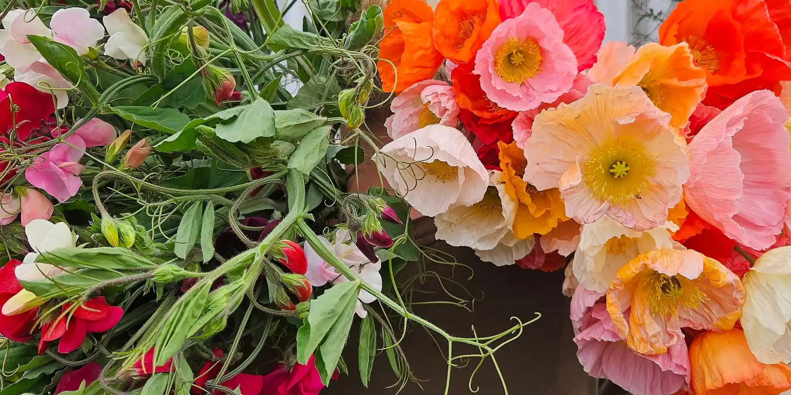 SPRING Saturday Sessions U-pick Flowers @ Joes Market Garden 2026