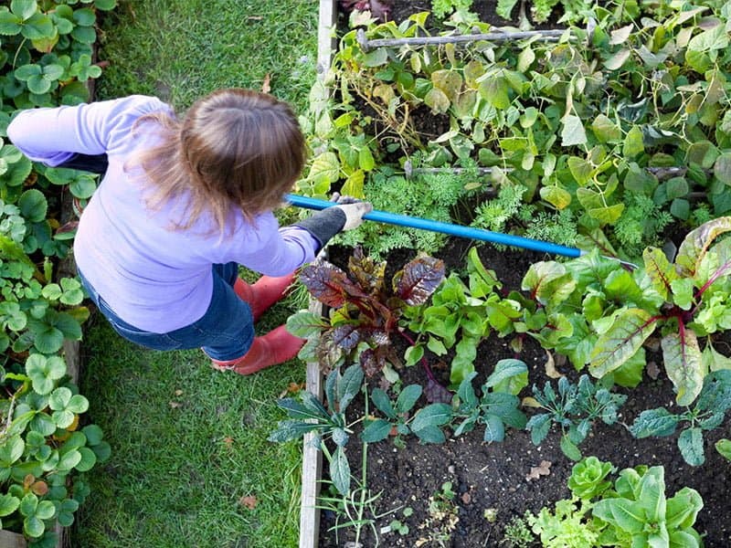 Urban Farmer Basics