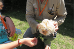 Sensory-Friendly Storytime and Meet the Animals