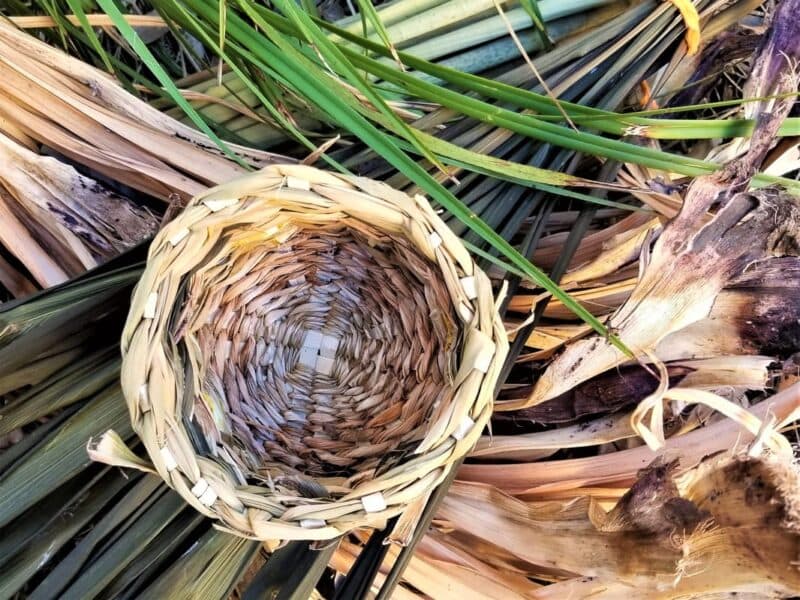 Basketry Twined